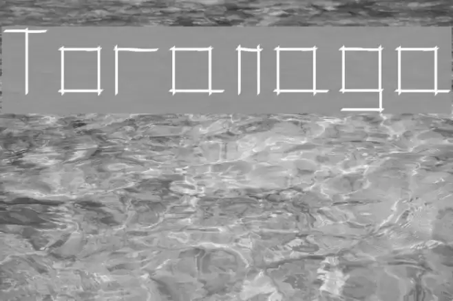 Toranaga Font examples