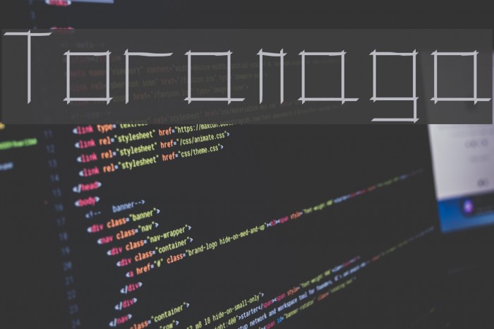 Toranaga Font examples