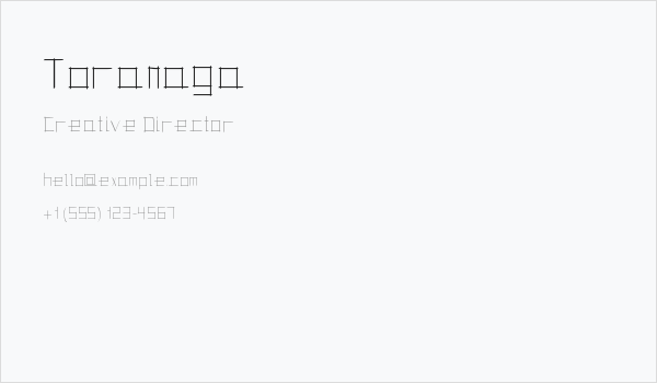 Toranaga Business Card