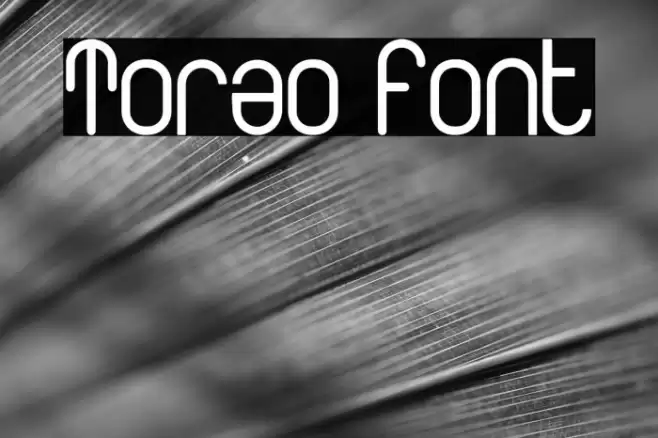 Torao Font examples
