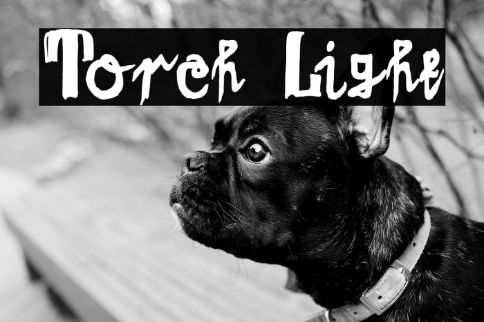 Torch Light Example 1