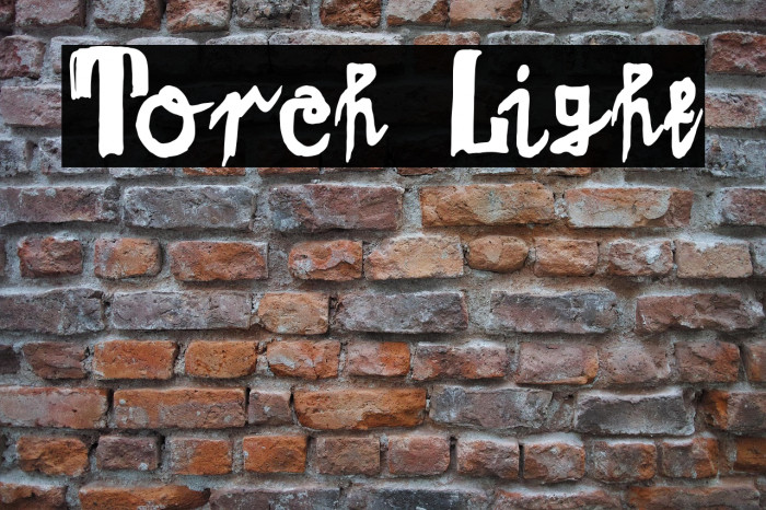 Torch Light Example 2