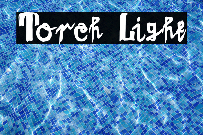 Torch Light Example 3