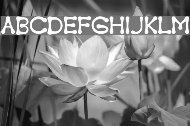Torcing Away Schriftart examples