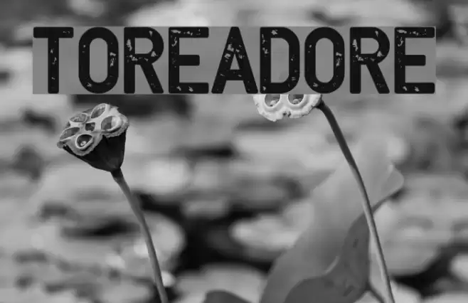 Toreadore Font examples