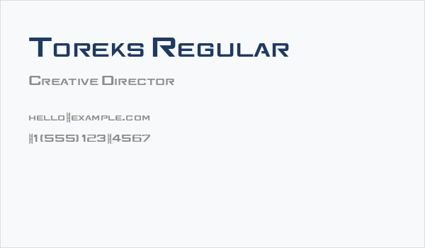 Toreks Regular Business Card