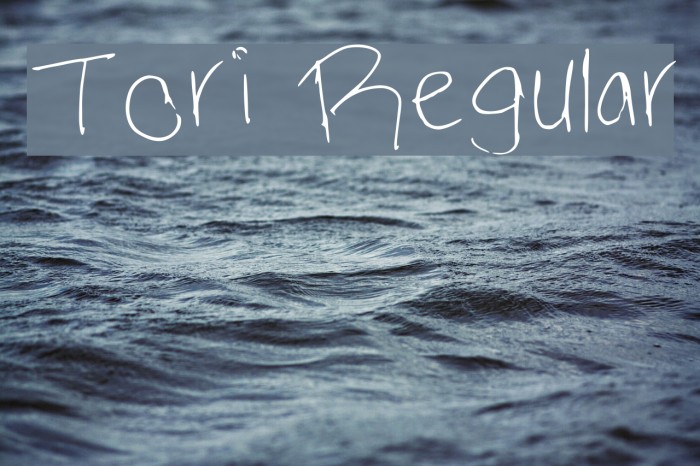 Tori Regular Font examples