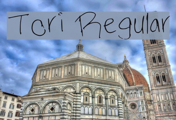Tori Regular Font examples