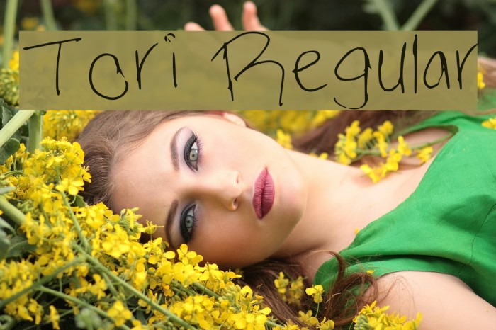 Tori Regular Font examples