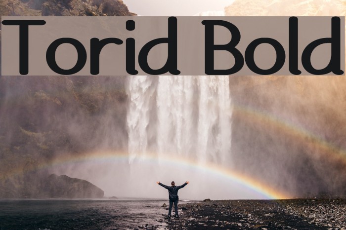 Torid Bold Example 1