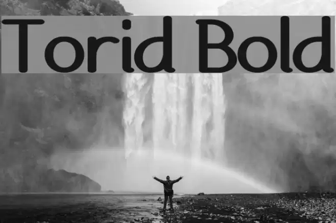 Torid Bold Font examples