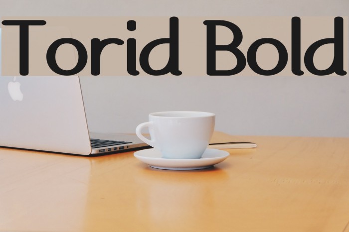 Torid Bold Example 2