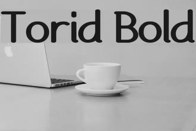 Torid Bold Font examples