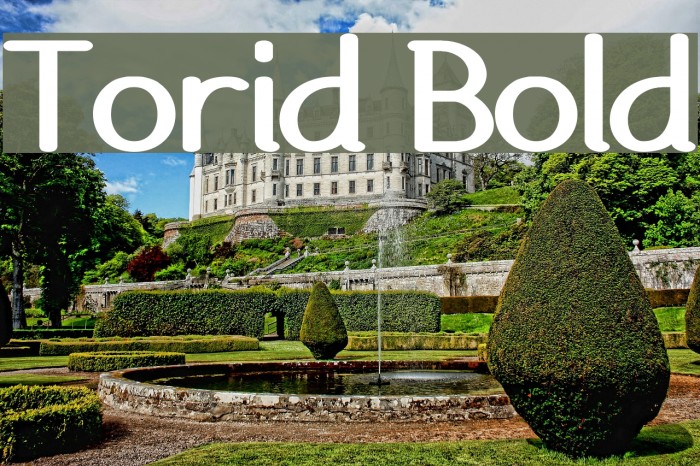 Torid Bold Example 3