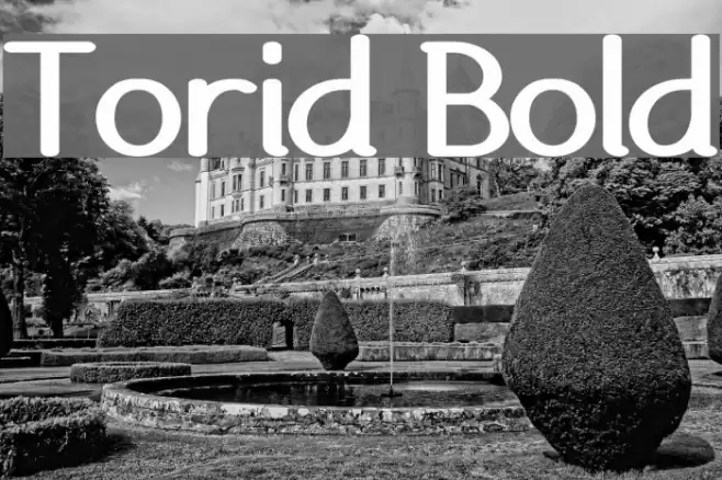 Torid Bold Font examples