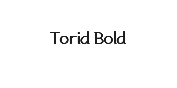 Torid Bold Logo