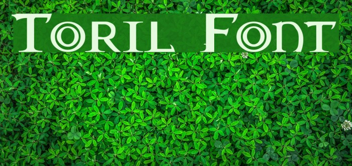 Toril Font examples