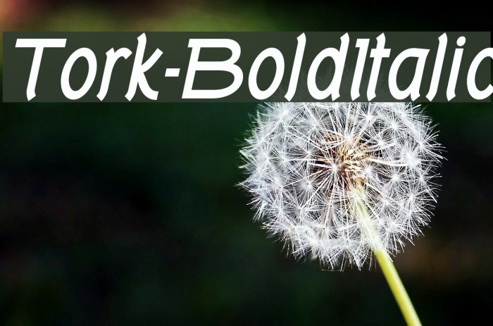 Tork-BoldItalic Font examples