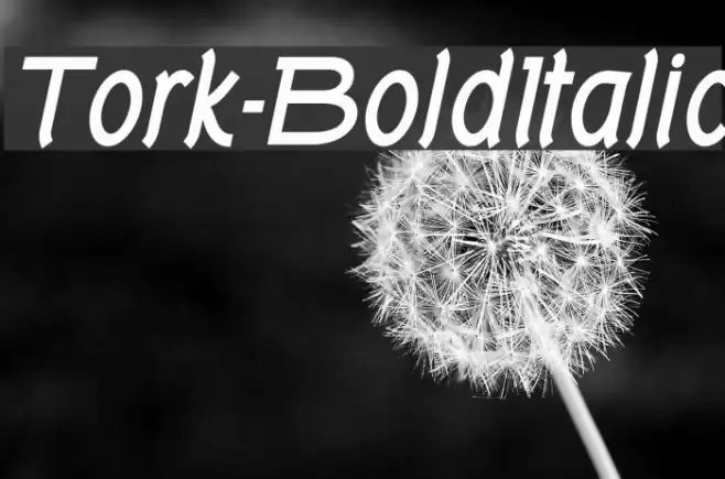 Tork-BoldItalic Font examples