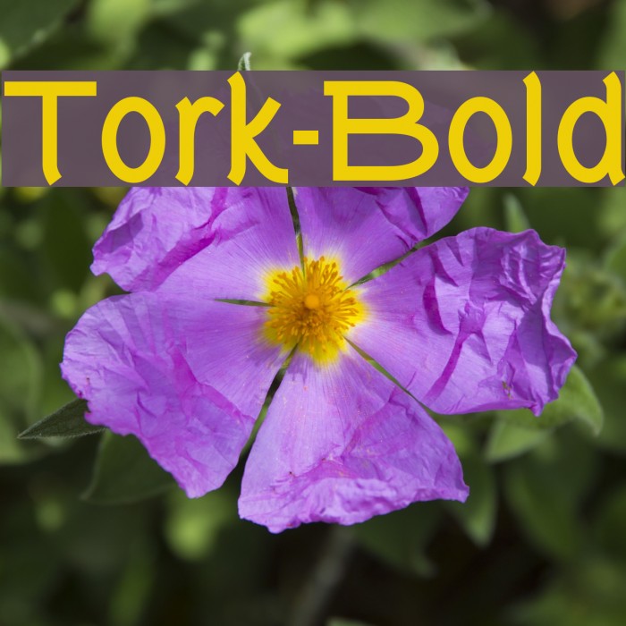 Tork-Bold Font examples