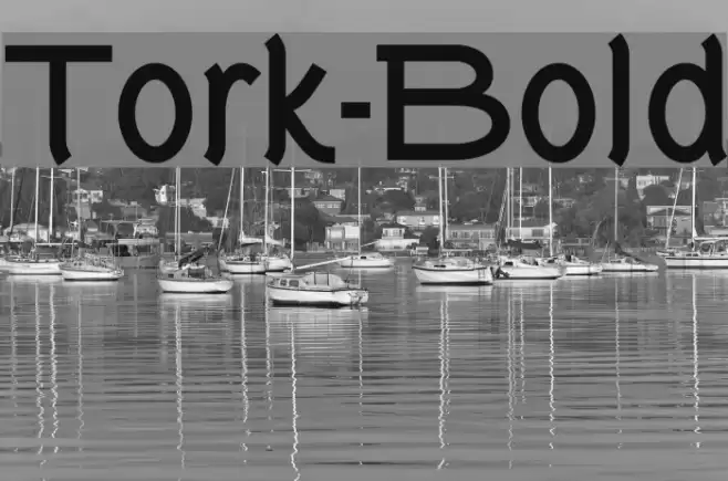 Tork-Bold Polices examples