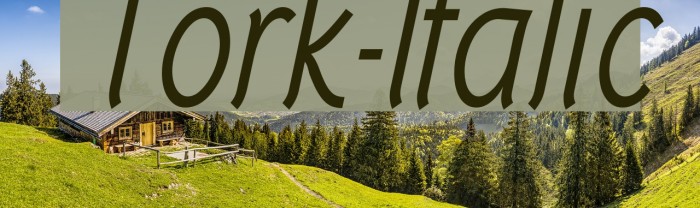 Tork-Italic フォント examples
