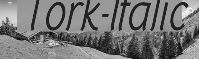 Tork-Italic フォント examples