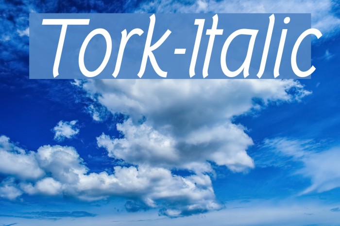 Tork-Italic フォント examples