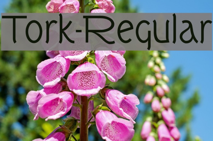 Tork-Regular Font examples