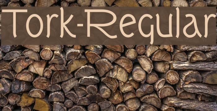 Tork-Regular Font examples