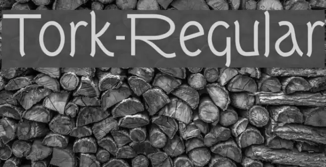 Tork-Regular Fonte examples