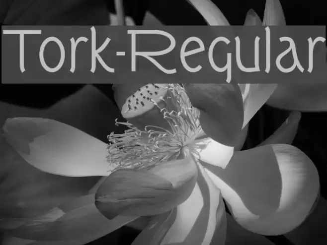 Tork-Regular Fonte examples