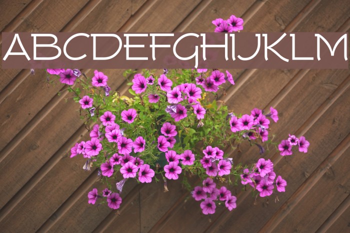 Tork Font examples