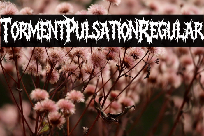 Torment Pulsation Regular Example 3