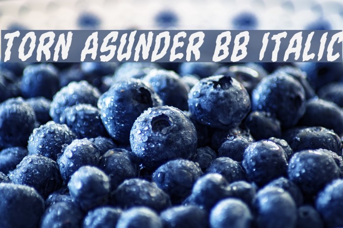 Torn Asunder BB Italic Font examples