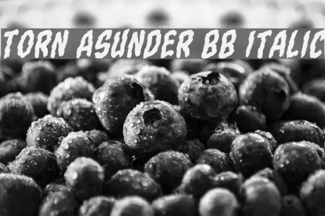 Torn Asunder BB Italic Font examples