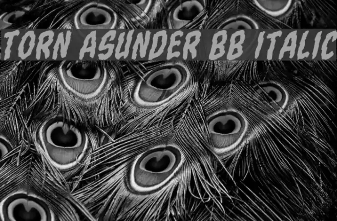 Torn Asunder BB Italic Font examples