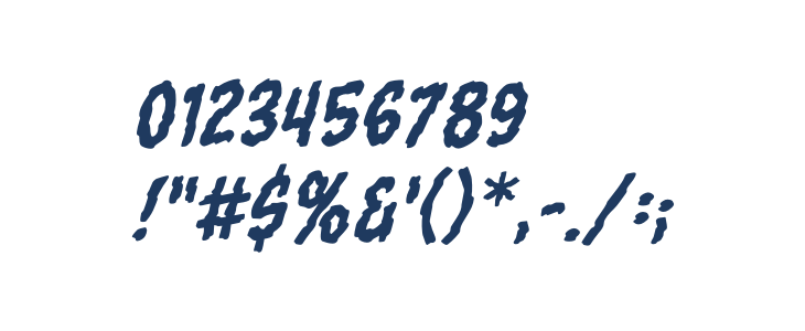 TornAsunderBB-Italic Other Characters