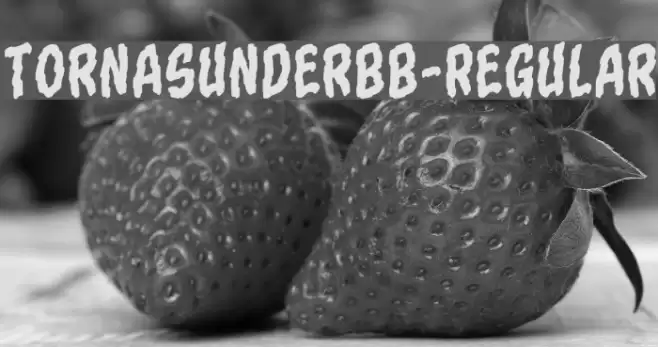 TornAsunderBB-Regular Font examples