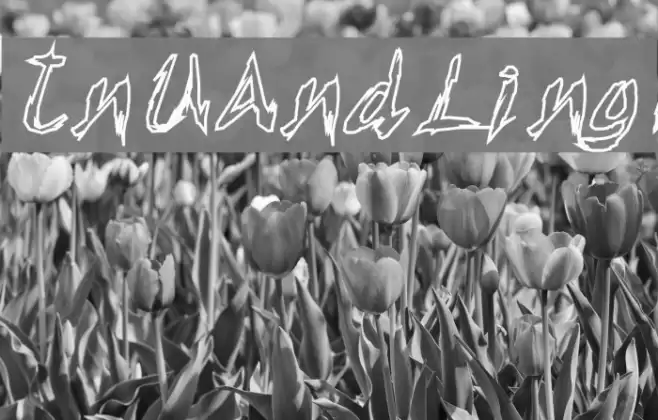 TornUpAndLovingIt Font examples