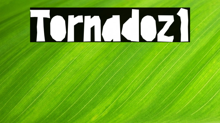 Tornadoz1 Example 3