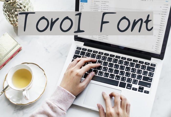 Toro1 Font examples