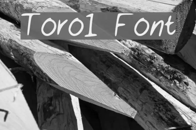 Toro1 Font examples