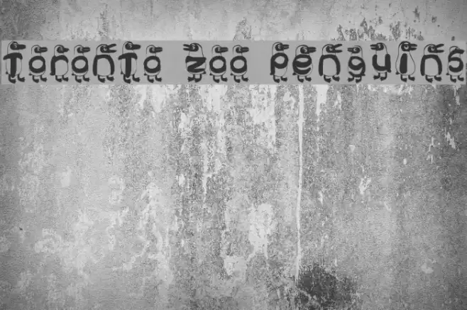 Toronto Zoo Penguins Font examples