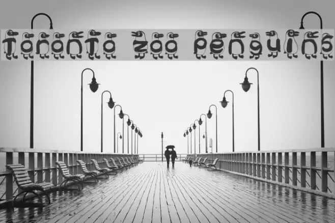 Toronto Zoo Penguins Font examples