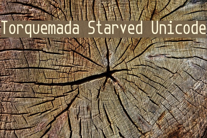 Torquemada Starved Unicode Шрифта examples
