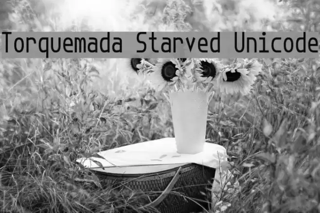 Torquemada Starved Unicode Шрифта examples