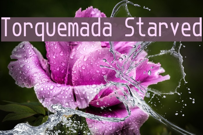 Torquemada Starved Font examples
