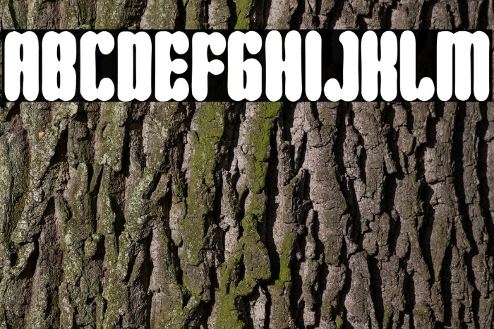 Torquemada in da house Example 1