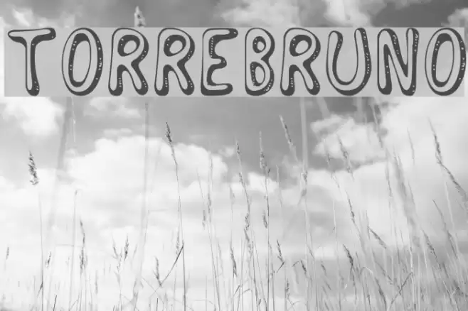 Torrebruno Font examples